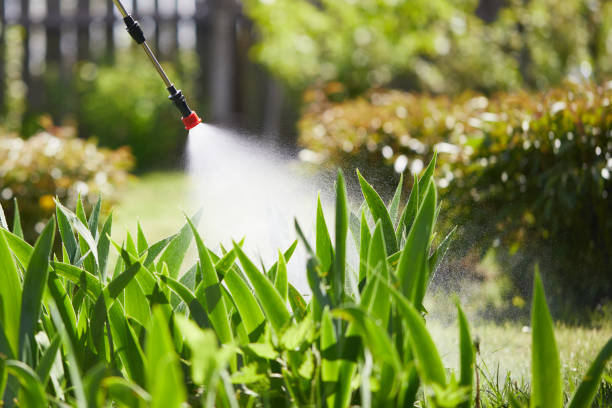 24/7 Emergency Mosquito Control experts in Oronoco, MN